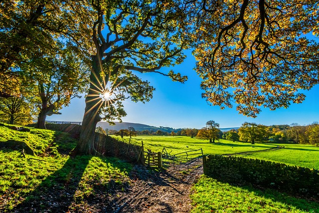 farm gate