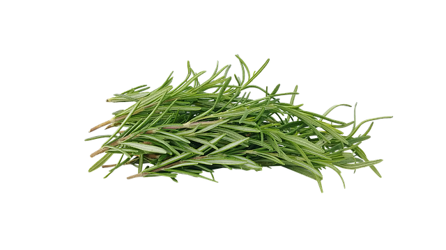 Hình ảnh minh họa ý nghĩa của từ farsighted