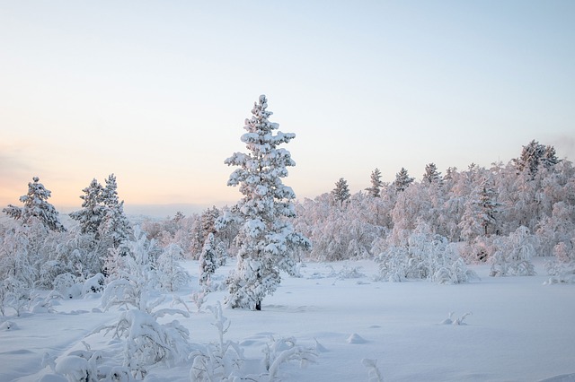 farthest north