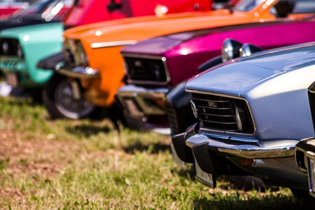 Hình ảnh minh họa ý nghĩa của từ fascia