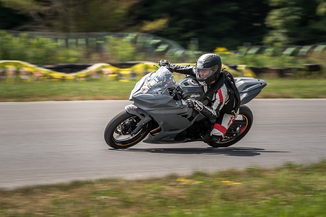 Hình ảnh minh họa ý nghĩa của từ fatality