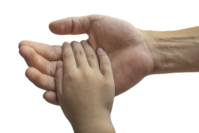 Hình ảnh minh họa ý nghĩa của từ fatherly