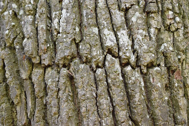 fault tree analysis