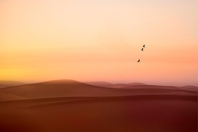 Hình ảnh minh họa ý nghĩa của từ fear of open spaces