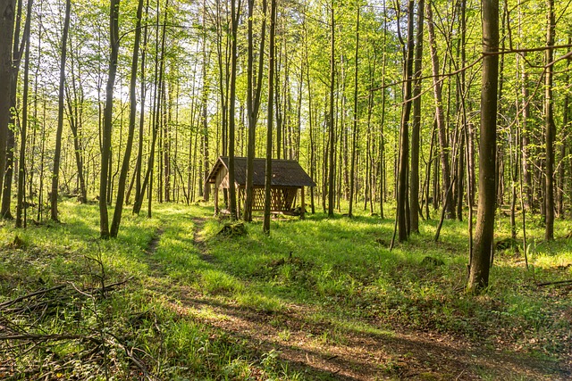Hình ảnh minh họa ý nghĩa của từ feeder road