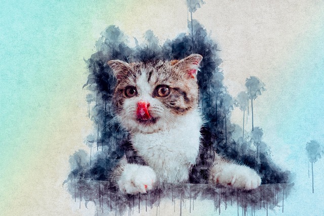 Hình ảnh minh họa ý nghĩa của từ feline