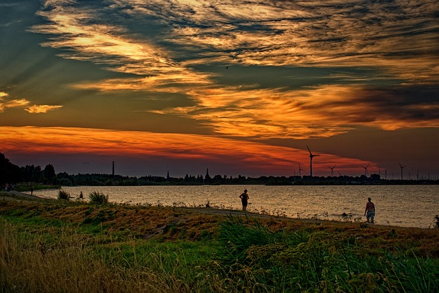 Hình ảnh minh họa ý nghĩa của từ fellow