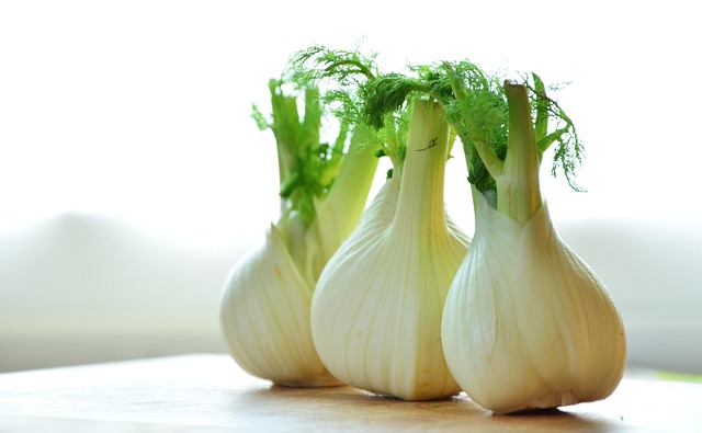 Hình ảnh minh họa ý nghĩa của từ fennel