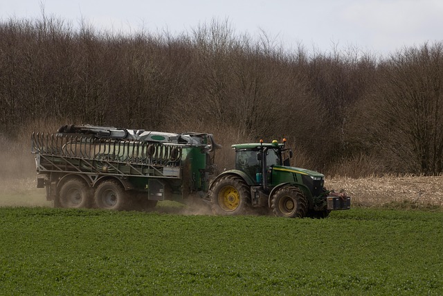 fertile land