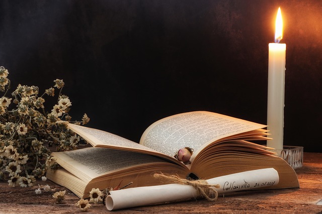 fiction literature