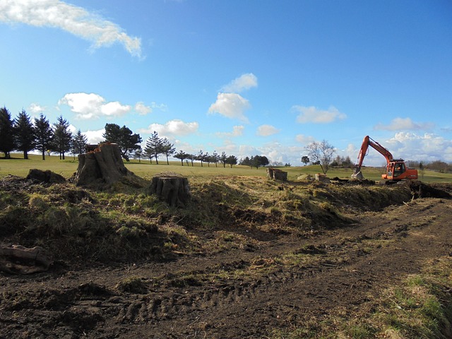 field construction