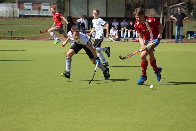 field hockey ball