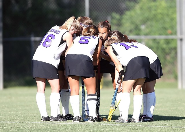 field hockey stick