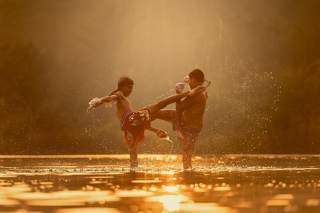 fighting arts