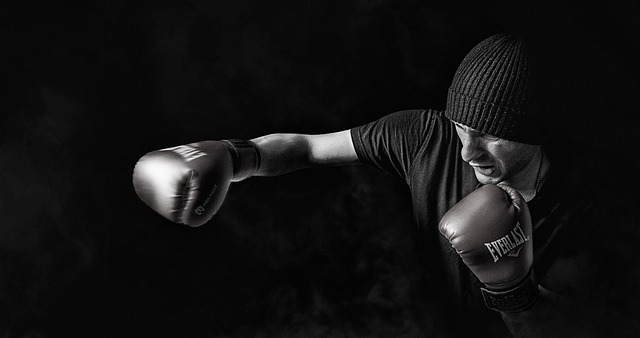 fighting sports