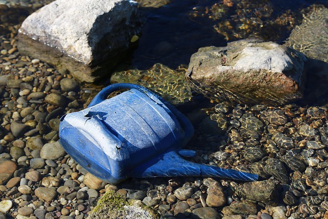 Hình ảnh minh họa ý nghĩa của từ filth