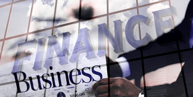 finance manager