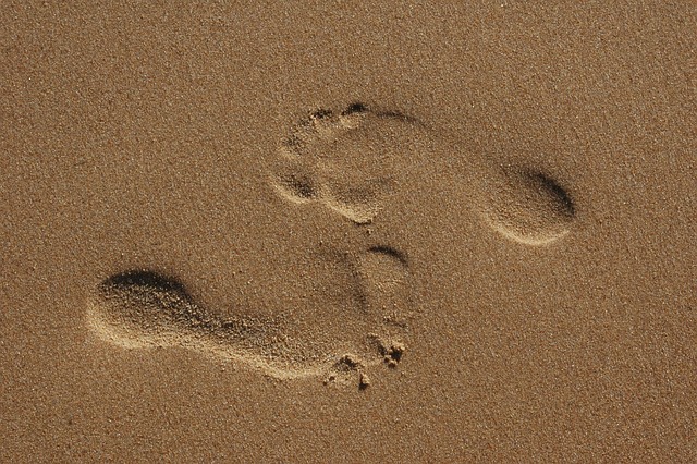 fingerprint