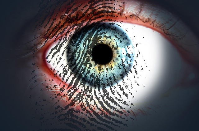 fingerprint scanning