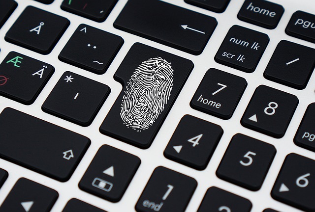 Hình ảnh minh họa ý nghĩa của từ fingerprints