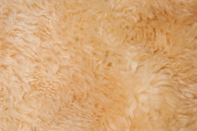 finishing coat