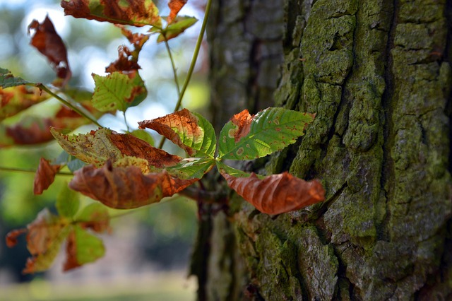 finite nature