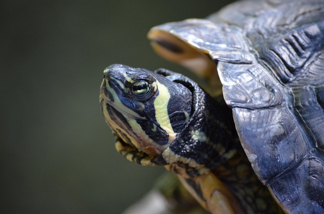 Hình ảnh minh họa ý nghĩa của từ first floor