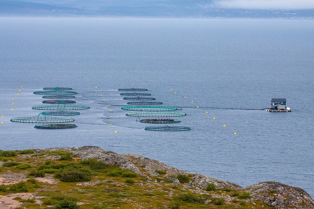 fish farming