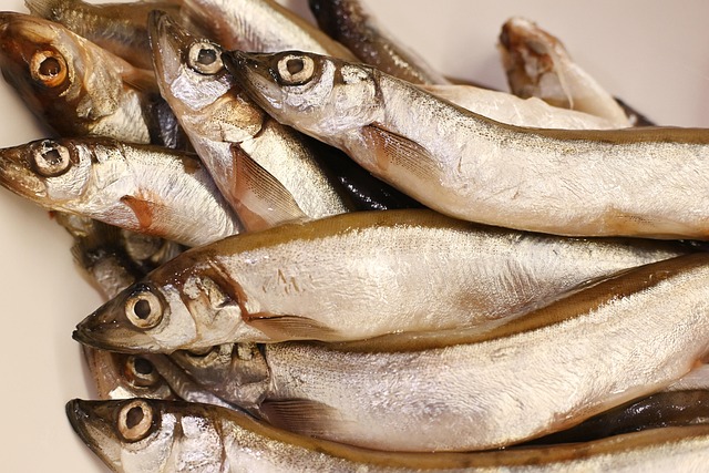 fish food
