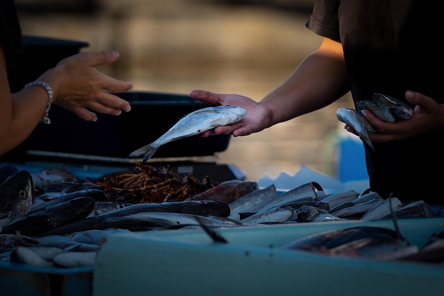 fish market