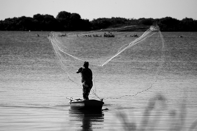 fisheries management