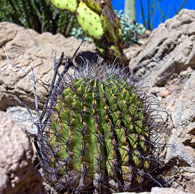 Hình ảnh minh họa ý nghĩa của từ fishhook