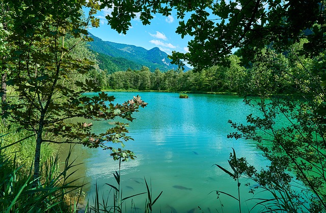 fishing area