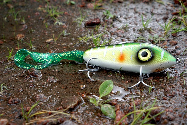 fishing bait