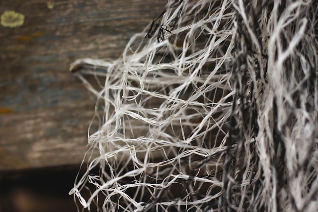 Hình ảnh minh họa ý nghĩa của từ fishing cord