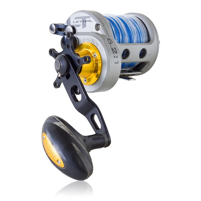 Hình ảnh minh họa ý nghĩa của từ fishing reel