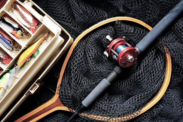 Hình ảnh minh họa ý nghĩa của từ fishing rod