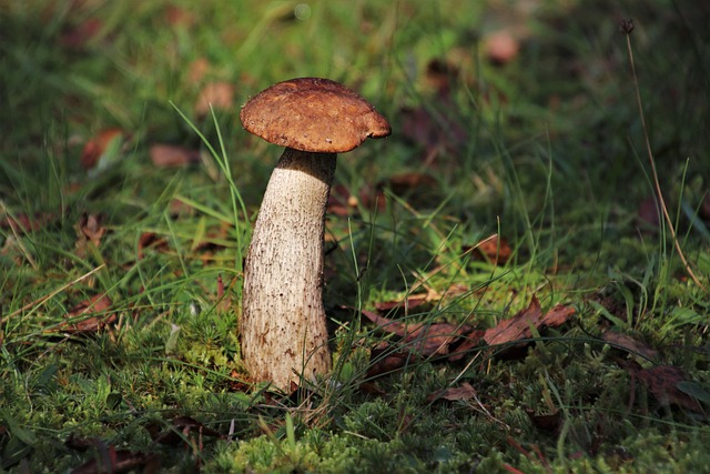 Hình ảnh minh họa ý nghĩa của từ flail