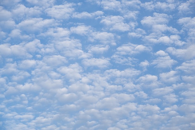 Hình ảnh minh họa ý nghĩa của từ fleecy