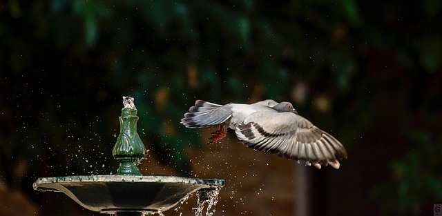 Hình ảnh minh họa ý nghĩa của từ fleeting