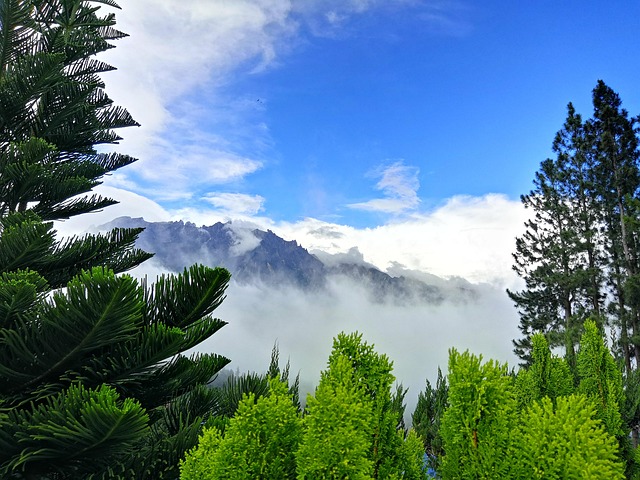 Hình ảnh minh họa ý nghĩa của từ flog