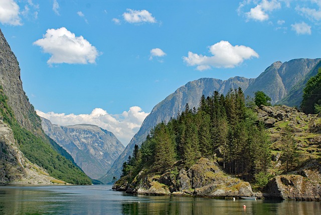 Hình ảnh minh họa ý nghĩa của từ fluctuate wildly