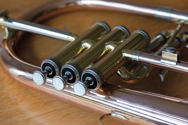 Hình ảnh minh họa ý nghĩa của từ flugelhorn