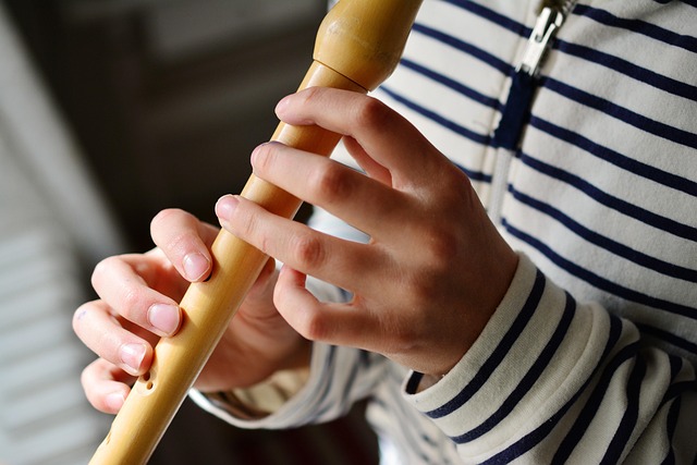 Hình ảnh minh họa ý nghĩa của từ flute
