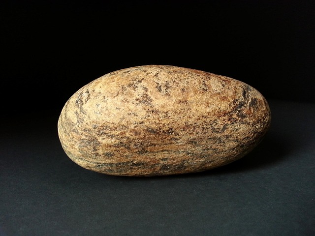 Hình ảnh minh họa ý nghĩa của từ fluvial ecology