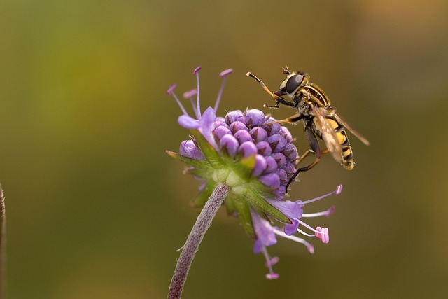 Fly off the handle