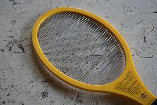 fly swatter