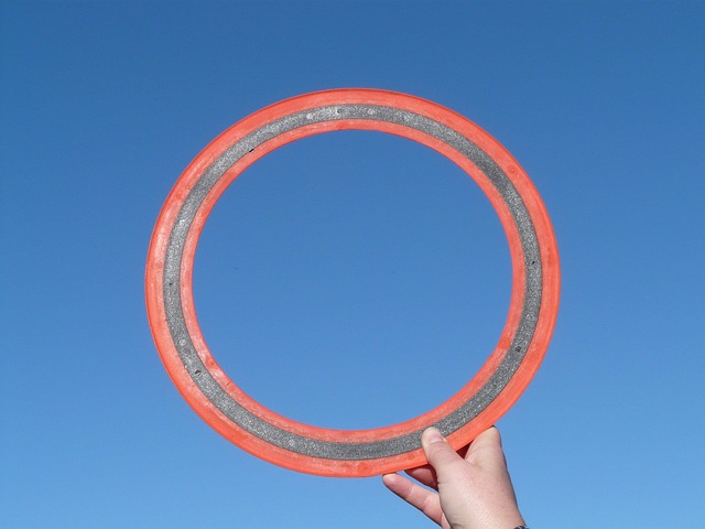 flying disc