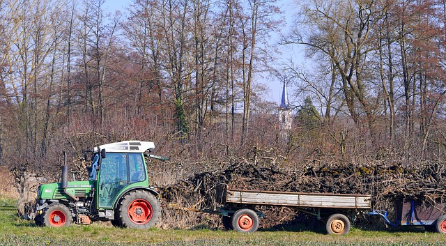 Hình ảnh minh họa ý nghĩa của từ follower