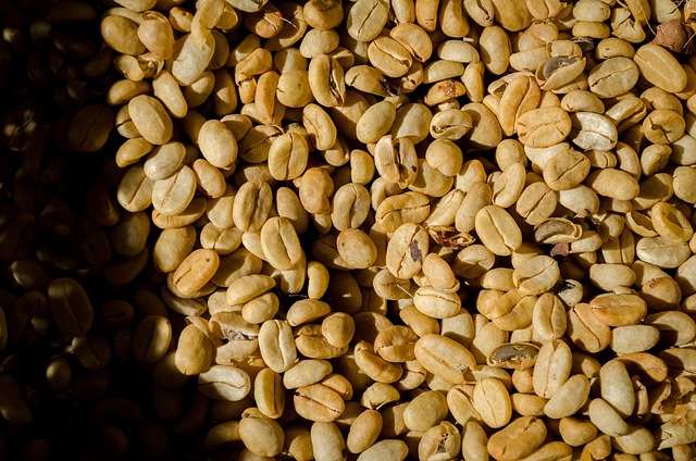 food production